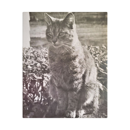 Caledonia Satin Canvas Stretched 8″ x 10″ (Vertical) 1.5"