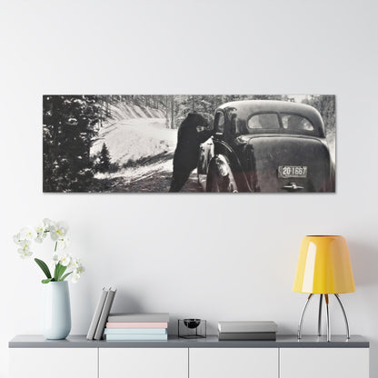 Yellowstone Bear Car Canvas Gallery Wraps 60″ x 20″ 1.25"
