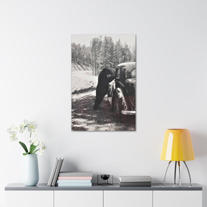 Yellowstone Bear Car Canvas Gallery Wraps 24″ x 36″ 1.25"