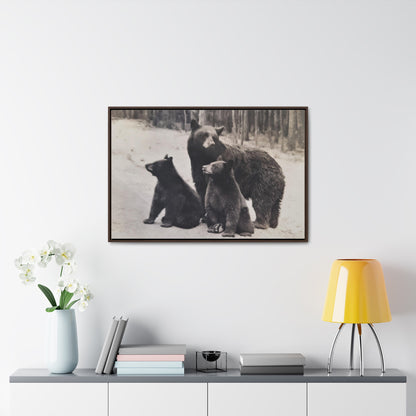 Yellowstone Black Bears Gallery Canvas Wraps 36″ x 24″ Walnut 1.25"