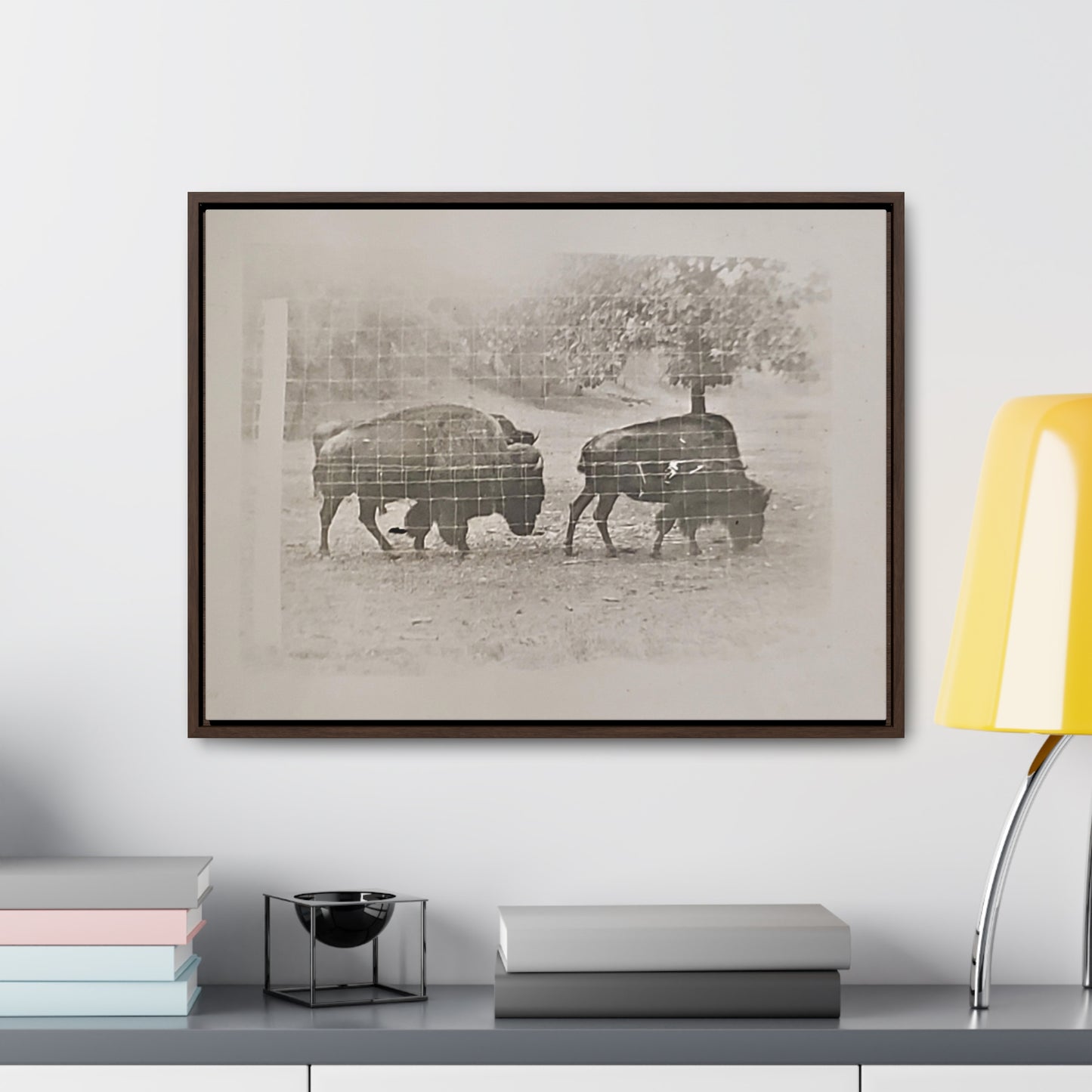 Buffalo at Redwood Falls Gallery Canvas Wraps, Horizontal Frame