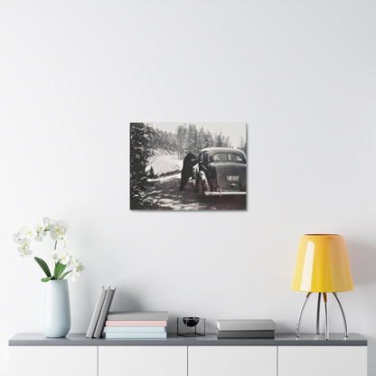 Yellowstone Bear Car Stretched Canvas 1.5" 24″ x 18″