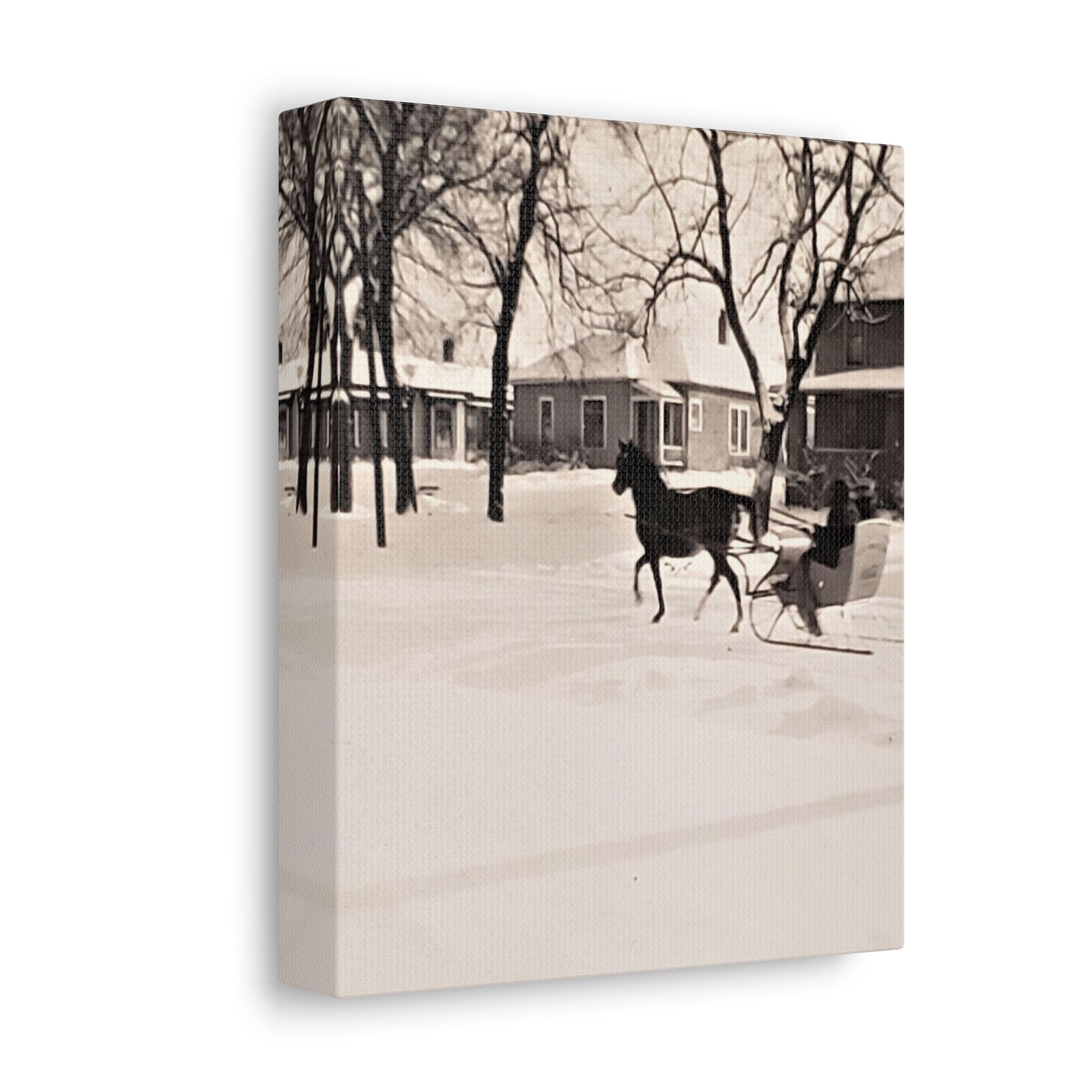 Carriage Ride Stretched Canvas