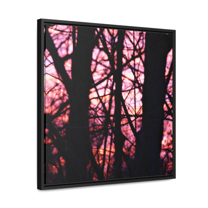 Dawn Gallery Canvas Wraps, Square Frame