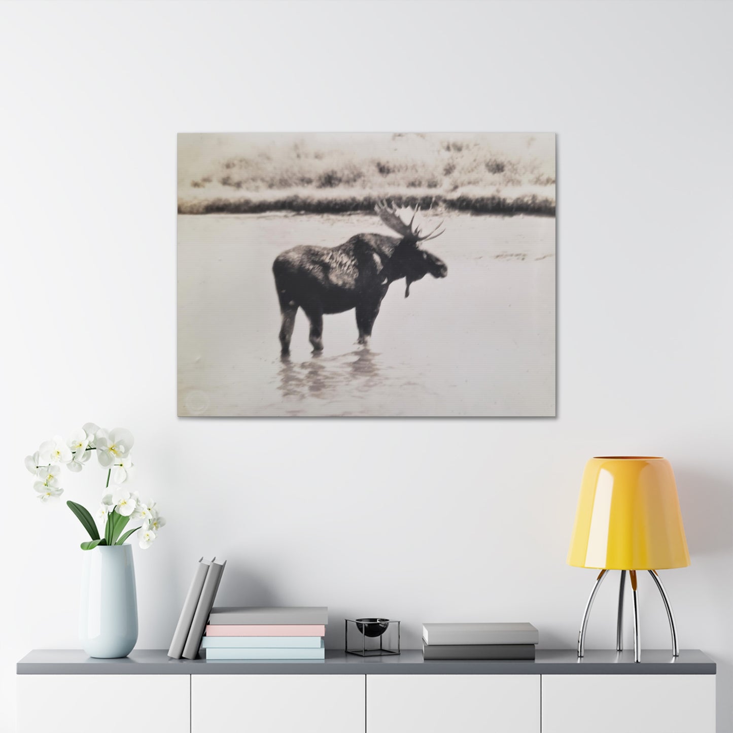 Yellowstone Bull Moose Canvas Gallery Wraps