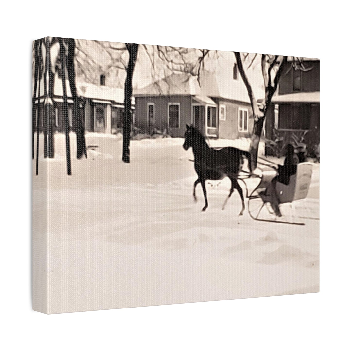 Carriage Ride Stretched Canvas