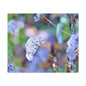 Macro Blue Canvas Gallery Wraps 24″ x 20″ 1.25"