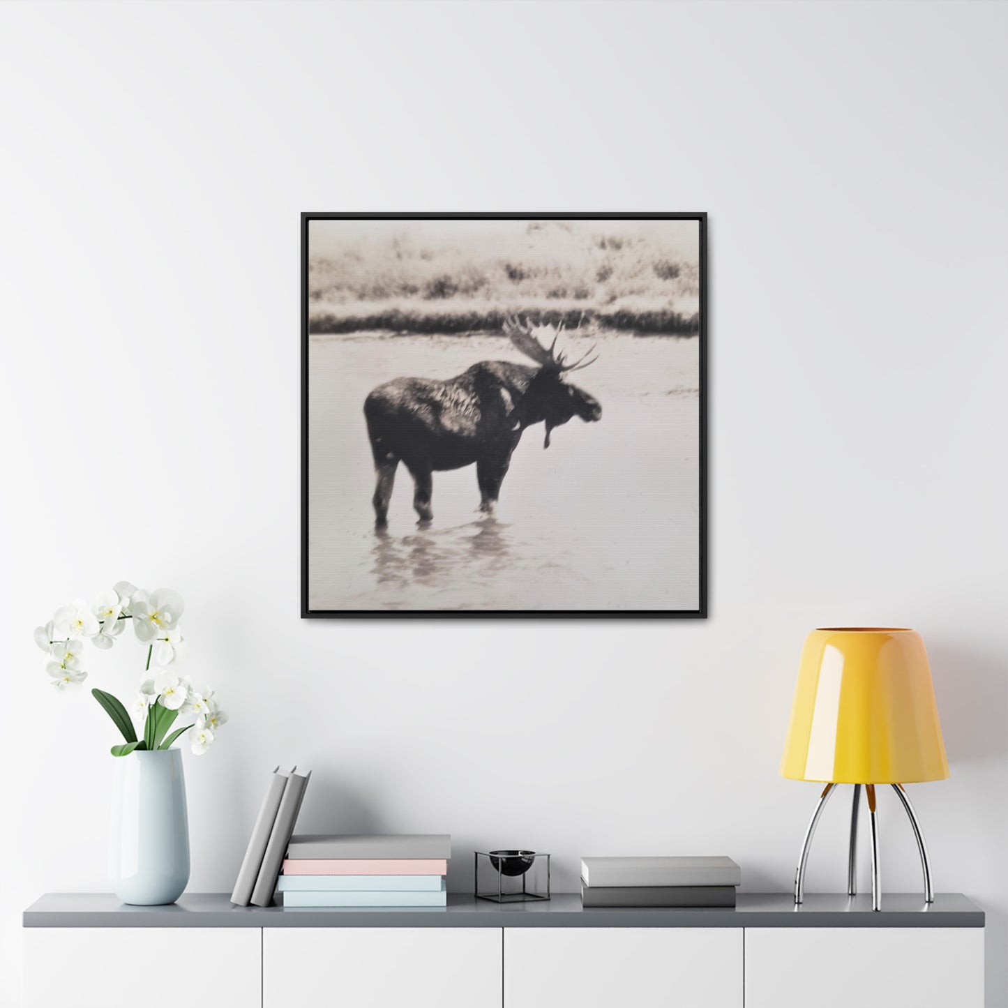 Yellowstone Bull Moose Gallery Canvas Wraps, Square Frame