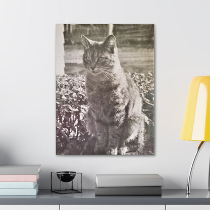 Caledonia Canvas Gallery Wraps 18″ x 24″ 1.25"