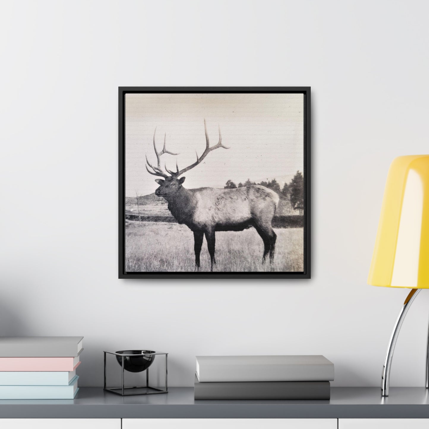 Yellowstone Bull Elk Gallery Canvas Wraps, Square Frame