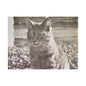 Caledonia Satin Canvas Stretched 24″ x 18″ (Horizontal) 1.5"