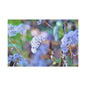 Macro Blue Canvas Gallery Wraps 48″ x 32″ 1.25"