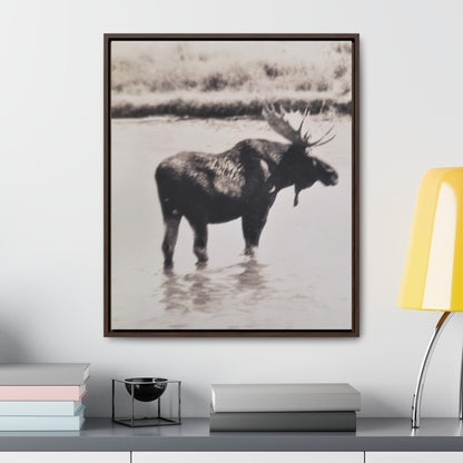 Yellowstone Bull Moose Gallery Canvas Wraps Vertical Frame 20″ x 24″ Premium Gallery Wraps (1.25″) Walnut