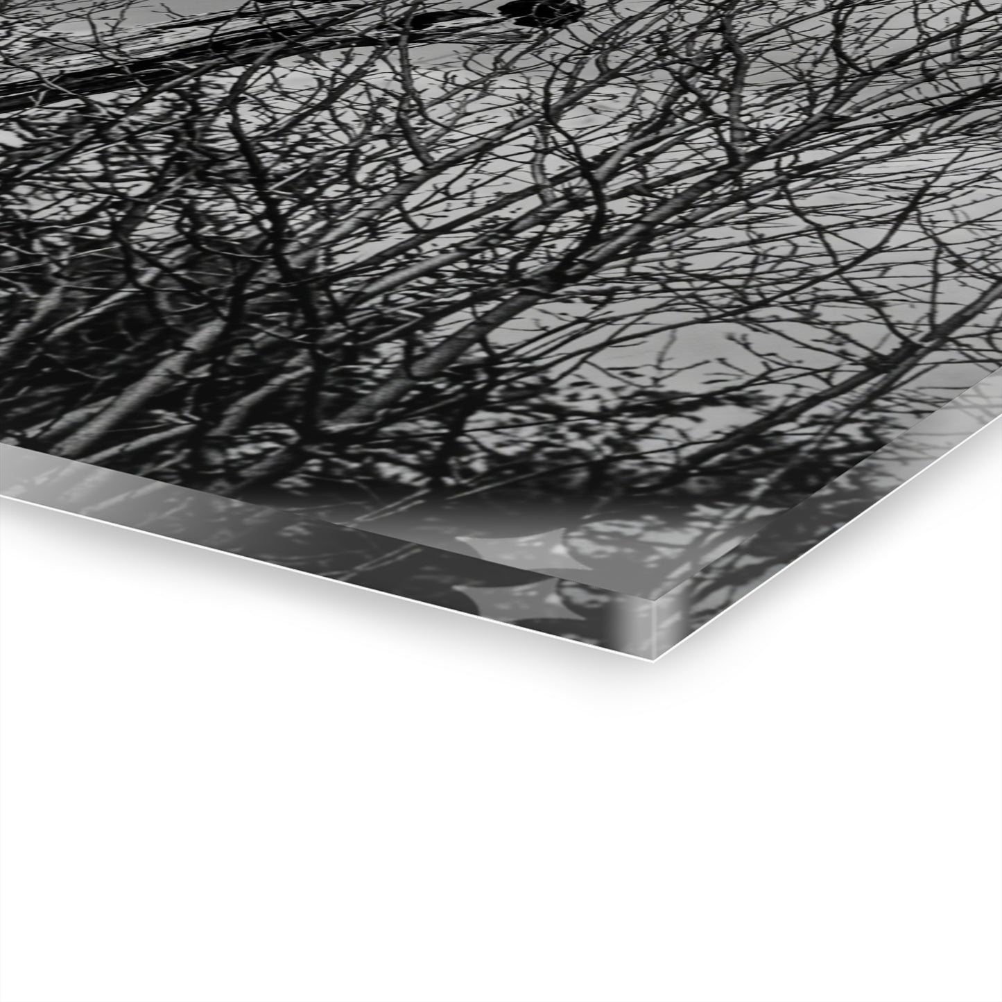 Black & White Buzzards in Winter Trees French Cleat Hanging - - Home Decor
