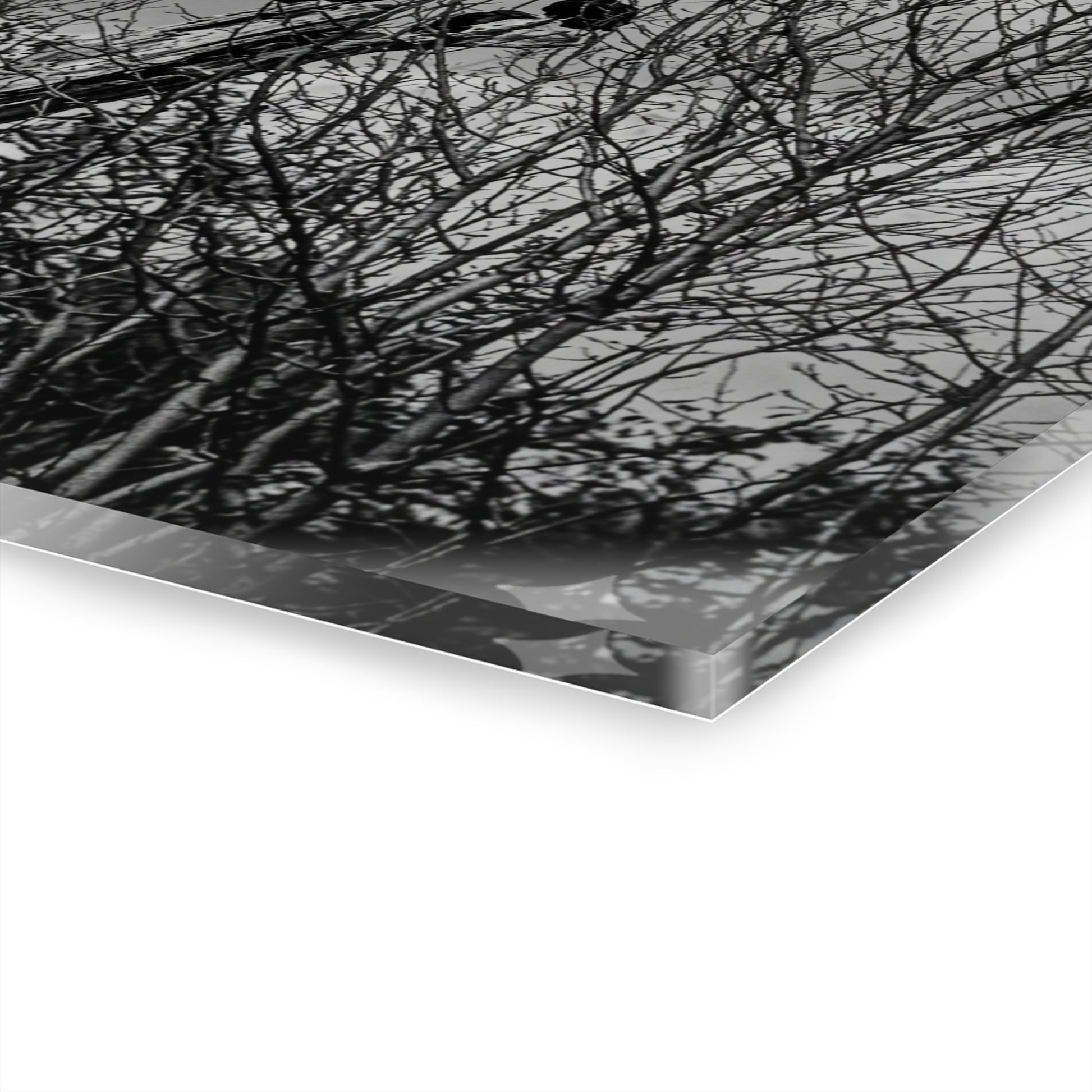Black & White Buzzards in Winter Trees French Cleat Hanging - - Home Decor