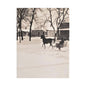 Carriage Ride Satin Canvas Stretched 12″ x 16″ (Vertical) 1.5"