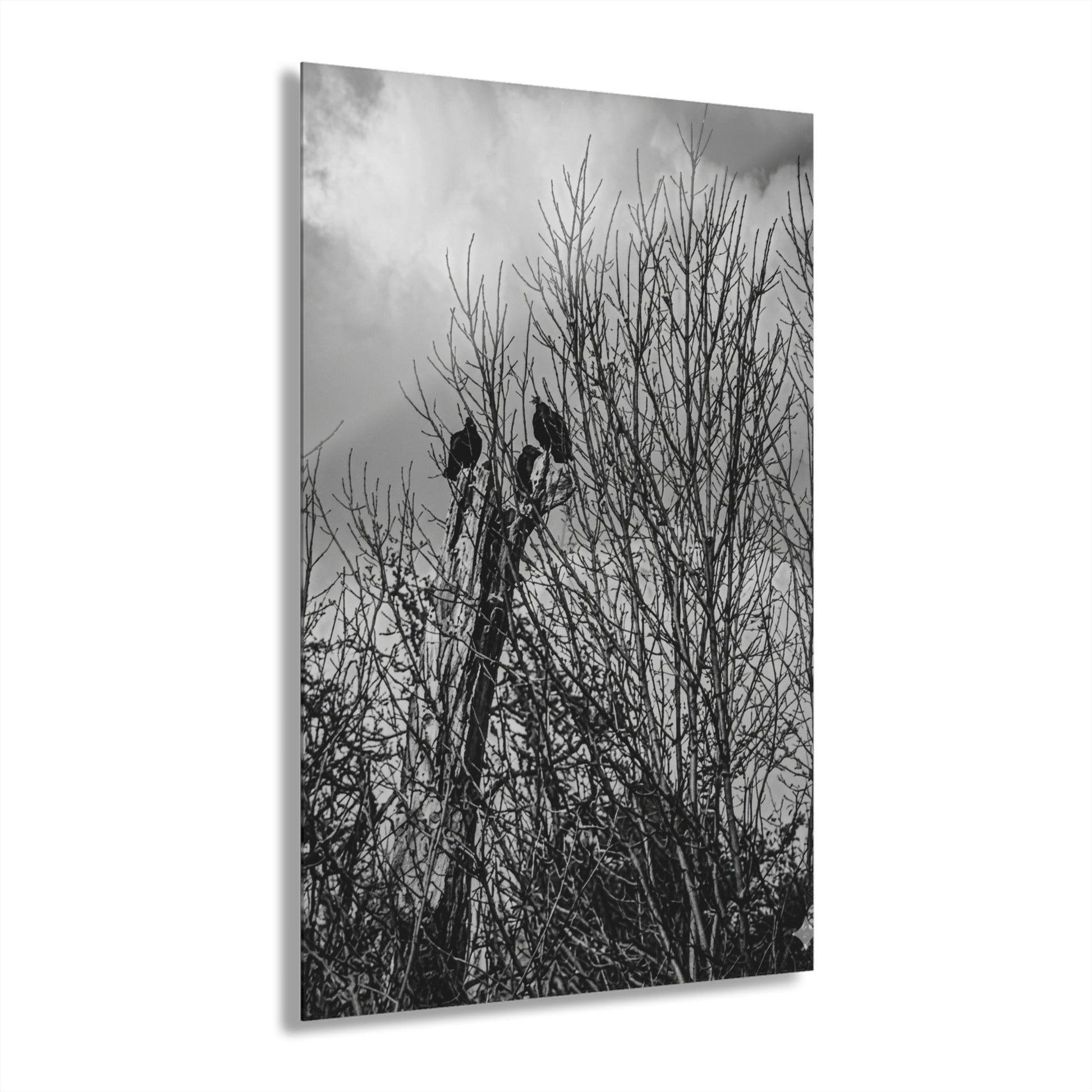Black & White Buzzards in Winter Trees French Cleat Hanging - - Home Decor