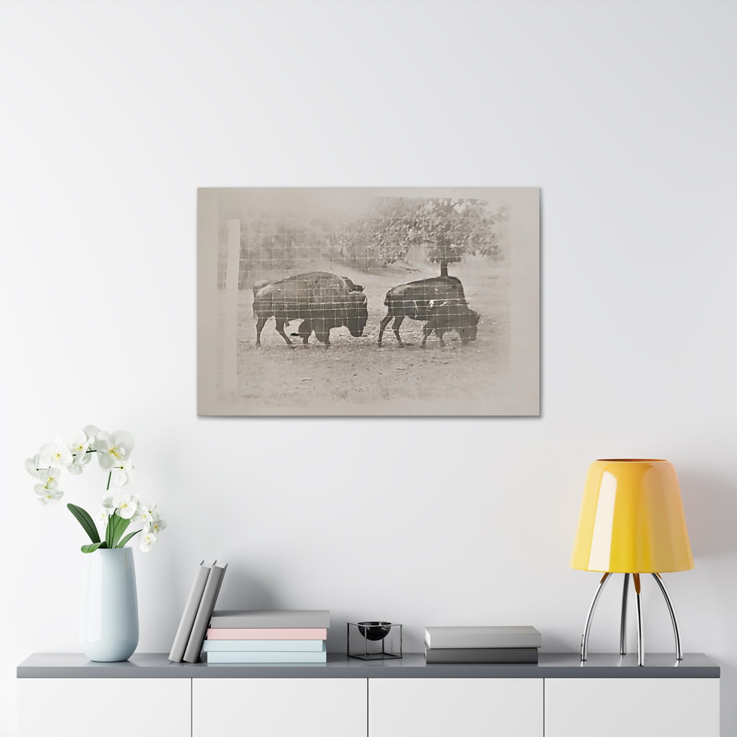 Buffalo at Redwood Falls Canvas Gallery Wraps