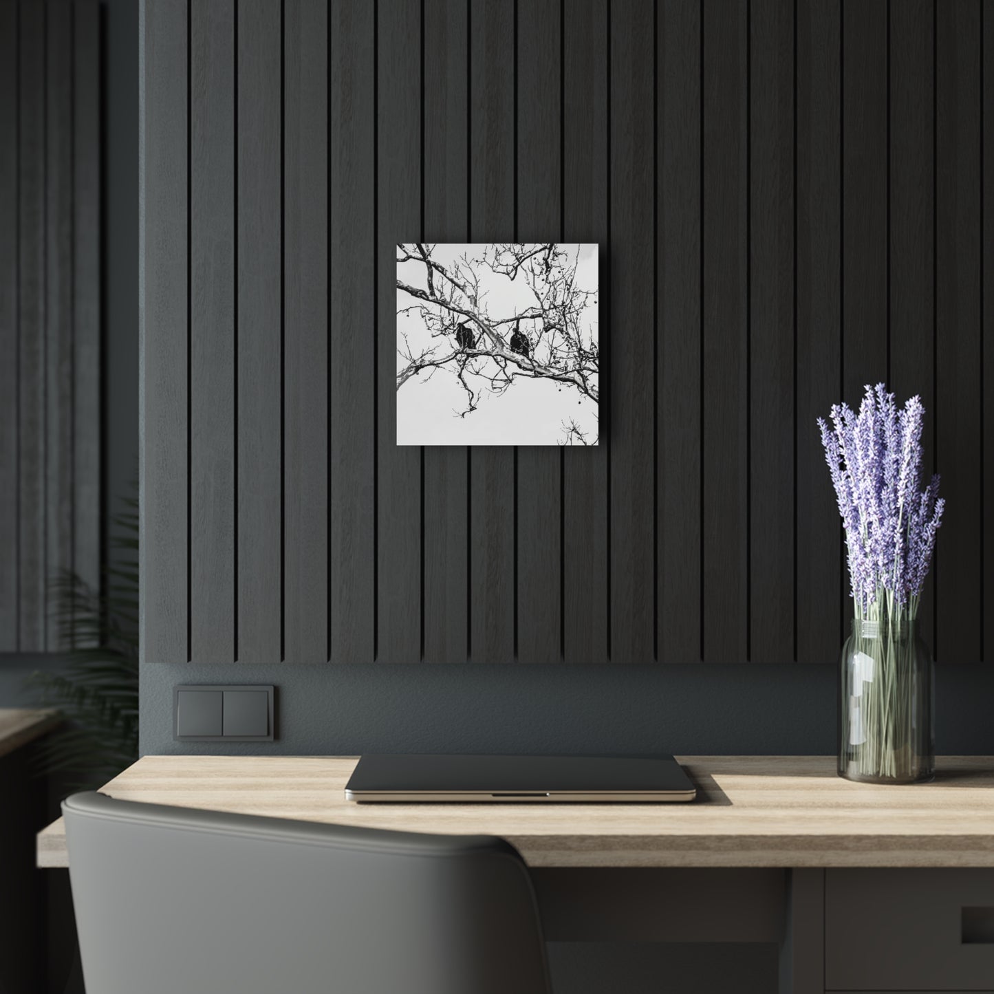 Black & White Buzzards Silhouette Acrylic Print — Modern Minimalist Wall Art - 12″ x 12″ 0.25'' - Home Decor