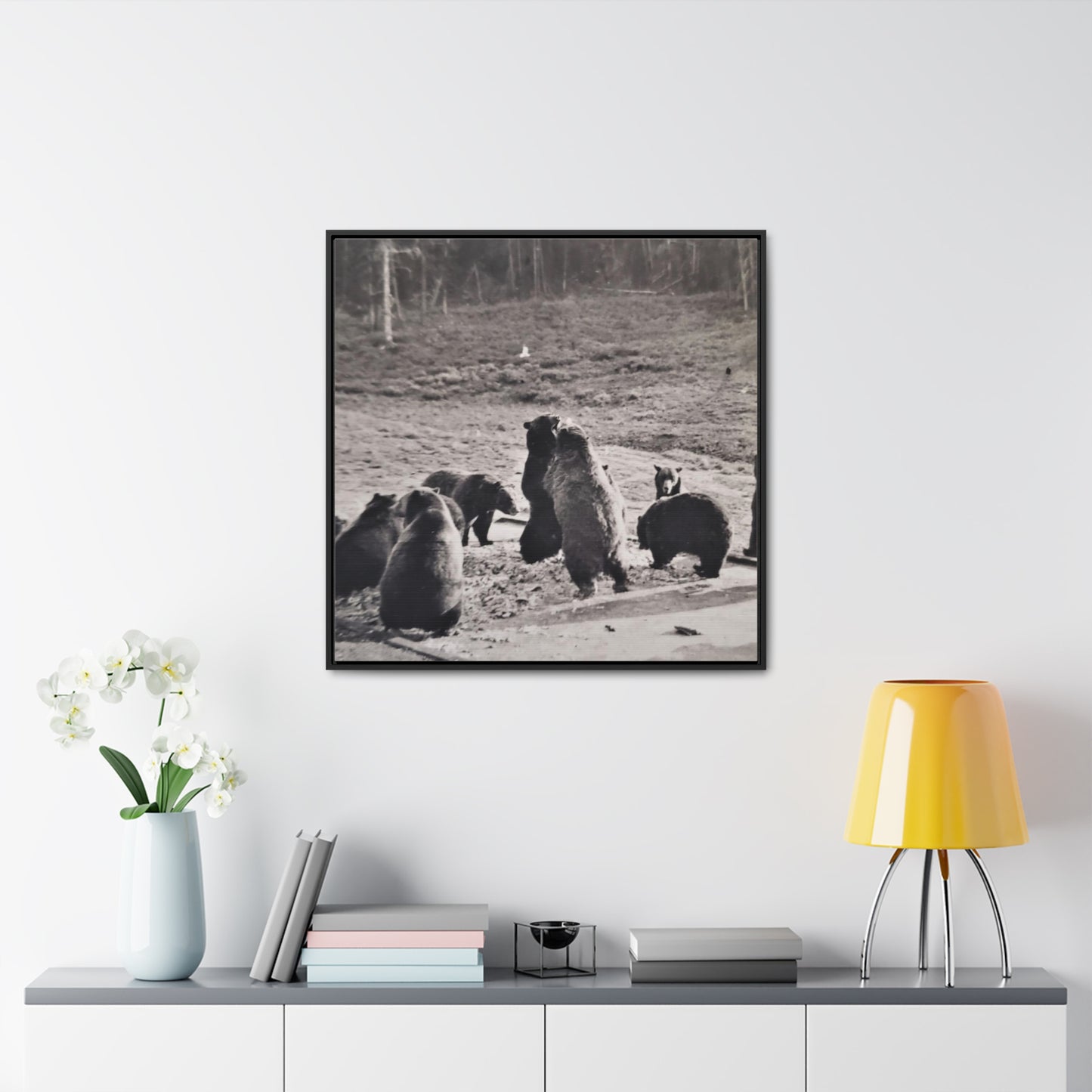 Yellowstone Grizzly Bears Gallery Canvas Wraps, Square Frame