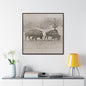 Buffalo at Redwood Falls Gallery Canvas Wraps Square Frame 36″ x 36″ Premium Gallery Wraps (1.25″) Walnut