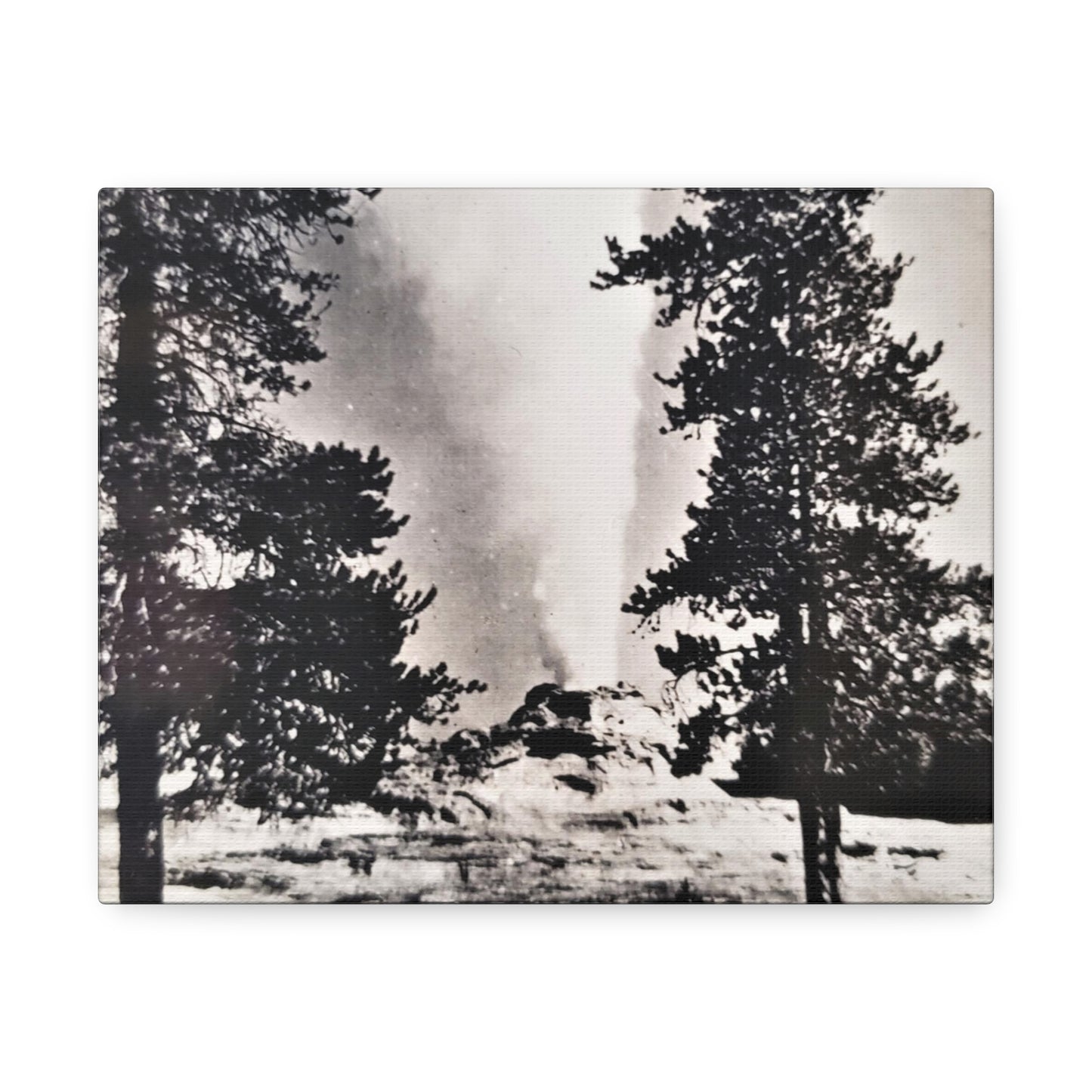 Castle Geyser Yellowstone Stretched Canvas