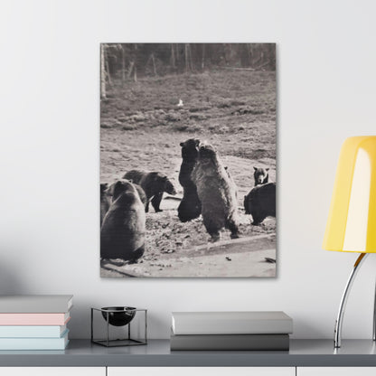 Yellowstone Grizzly Bears Canvas Gallery Wraps