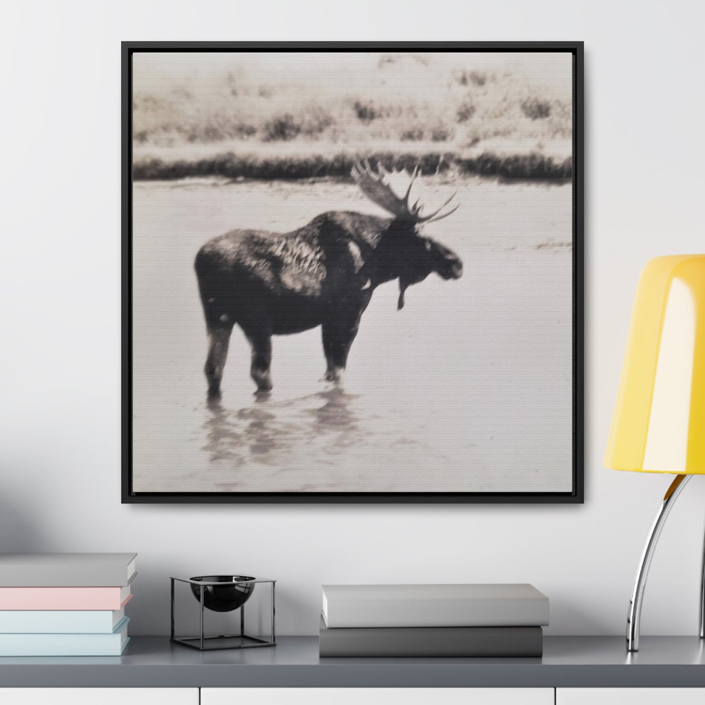 Yellowstone Bull Moose Gallery Canvas Wraps, Square Frame