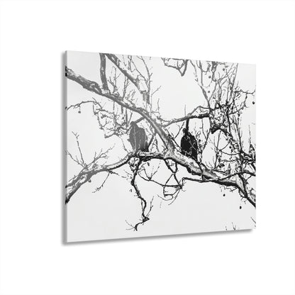 Black & White Buzzards Silhouette Acrylic Print — Modern Minimalist Wall Art - - Home Decor