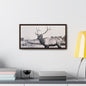 Yellowstone Bull Elk Gallery Canvas Wraps Horizontal Frame 20″ x 10″ Walnut Premium Gallery Wraps (1.25″)