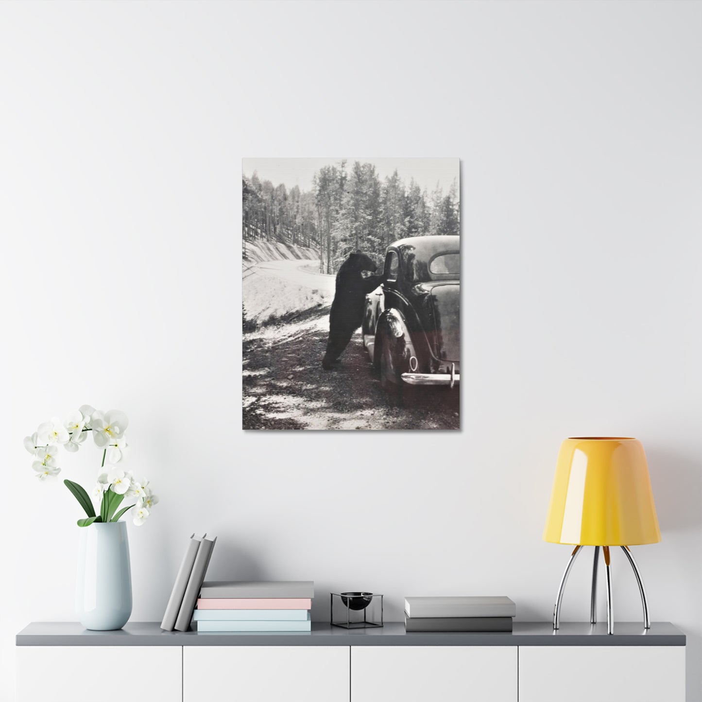 Yellowstone Bear Car Stretched Canvas