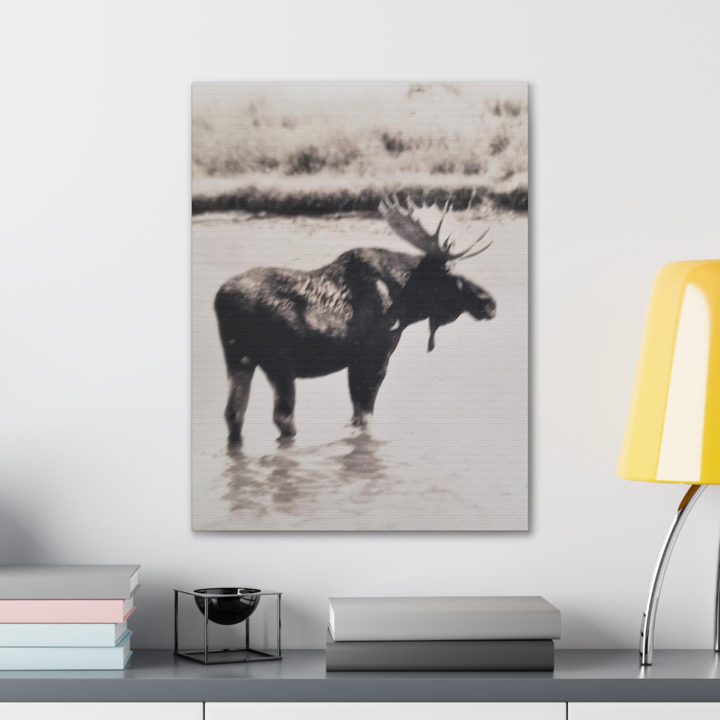 Yellowstone Bull Moose Canvas Gallery Wraps