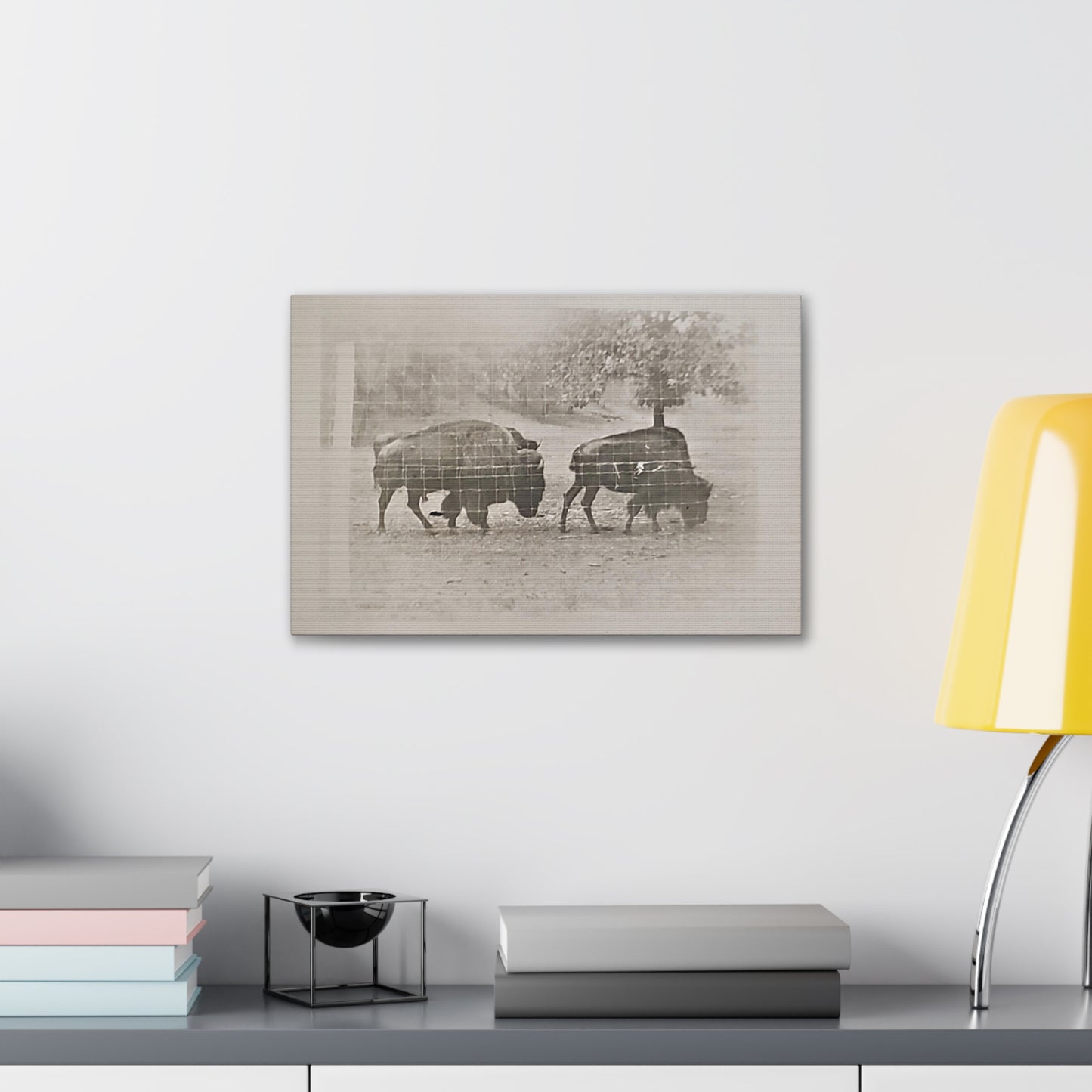 Buffalo at Redwood Falls Canvas Gallery Wraps