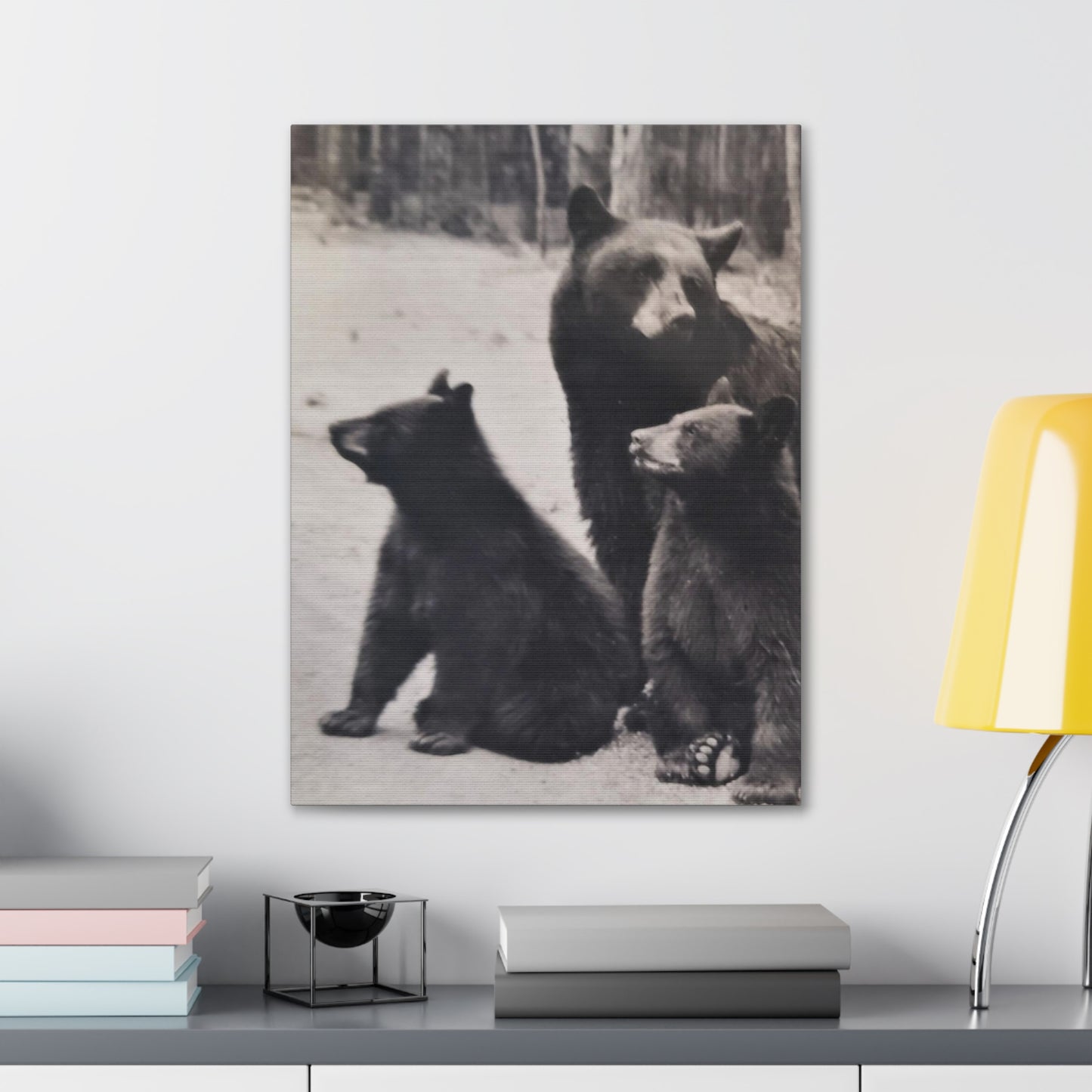 Yellowstone Black Bears Canvas Gallery Wraps