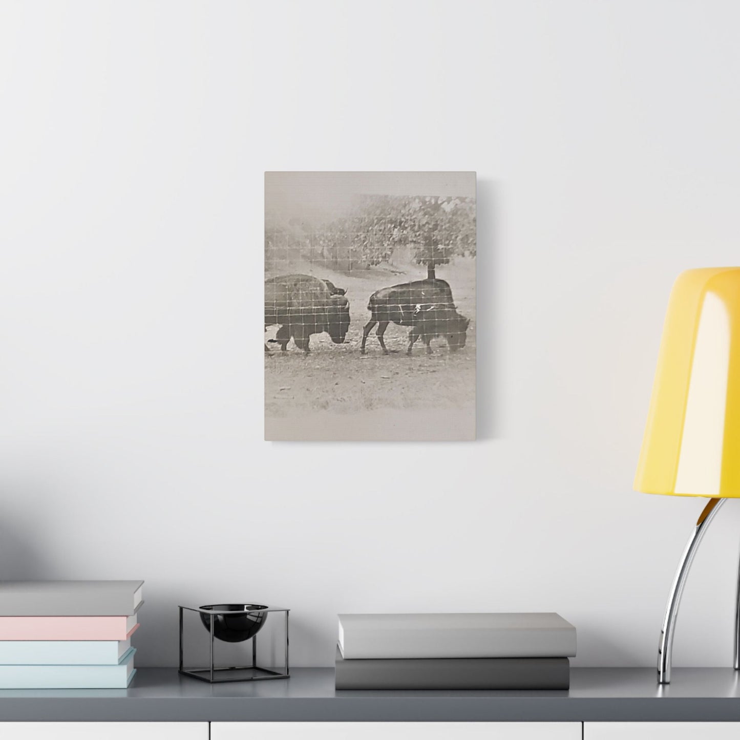 Buffalo at Redwood Falls Satin Canvas Stretched 11″ x 14″ (Vertical) 1.5"