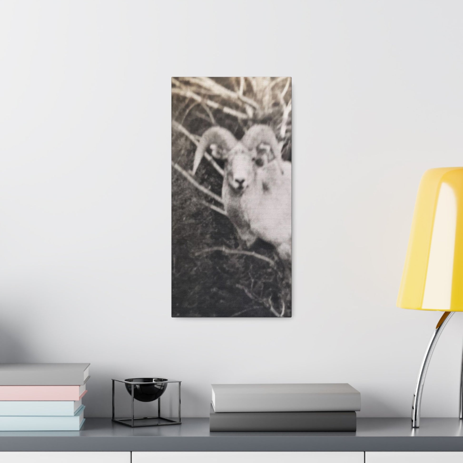 Yellowstone Big Horn Sheep Canvas Gallery Wraps - 10″ x 20″ 1.25" - Canvas