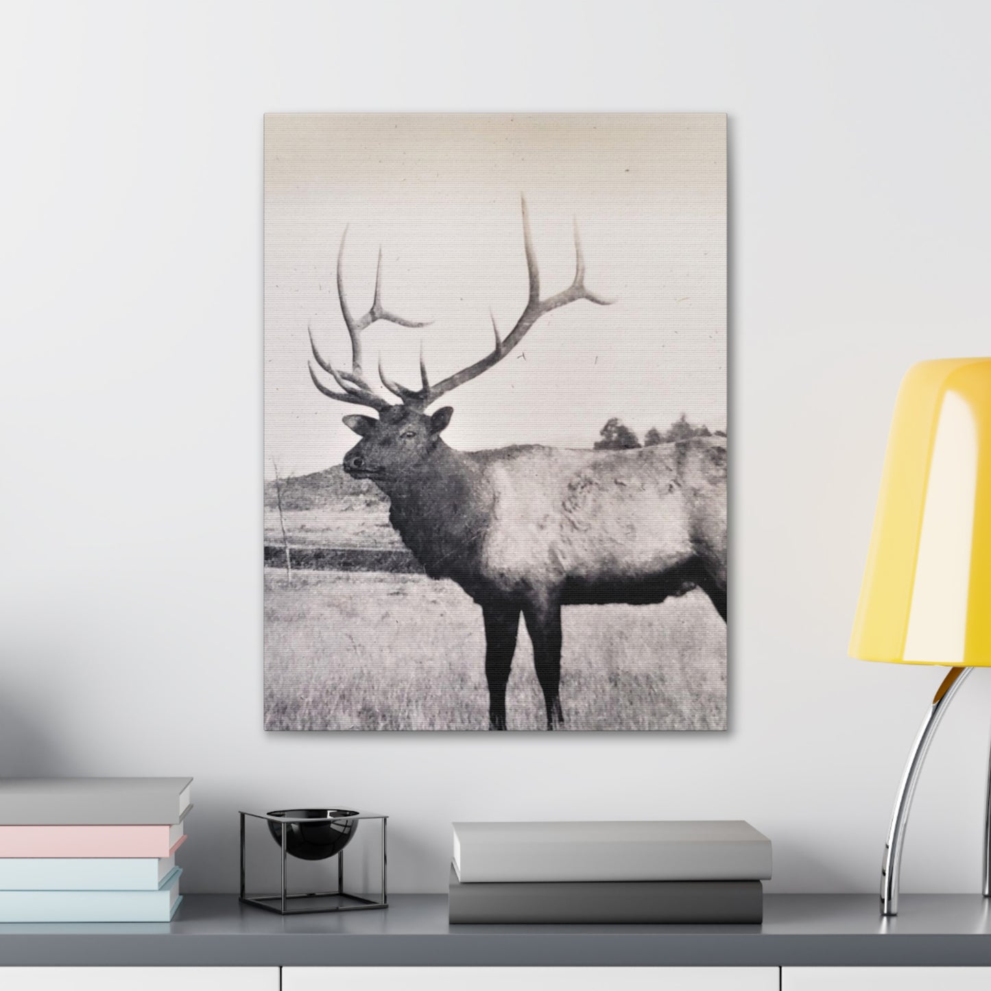 Yellowstone Bull Elk Canvas Gallery Wraps