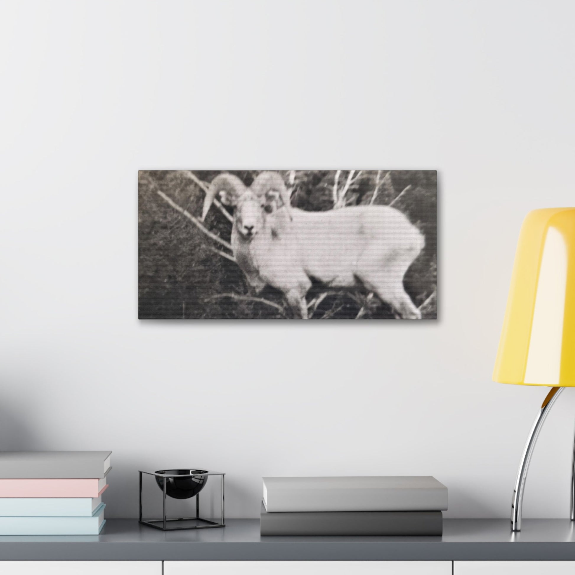 Yellowstone Big Horn Sheep Canvas Gallery Wraps - 20″ x 10″ 1.25" - Canvas