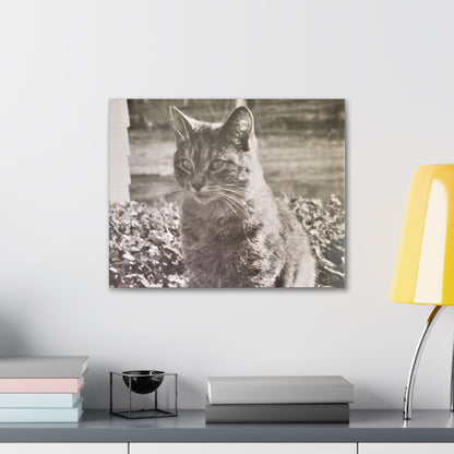 Caledonia Canvas Gallery Wraps 20″ x 16″ 1.25"
