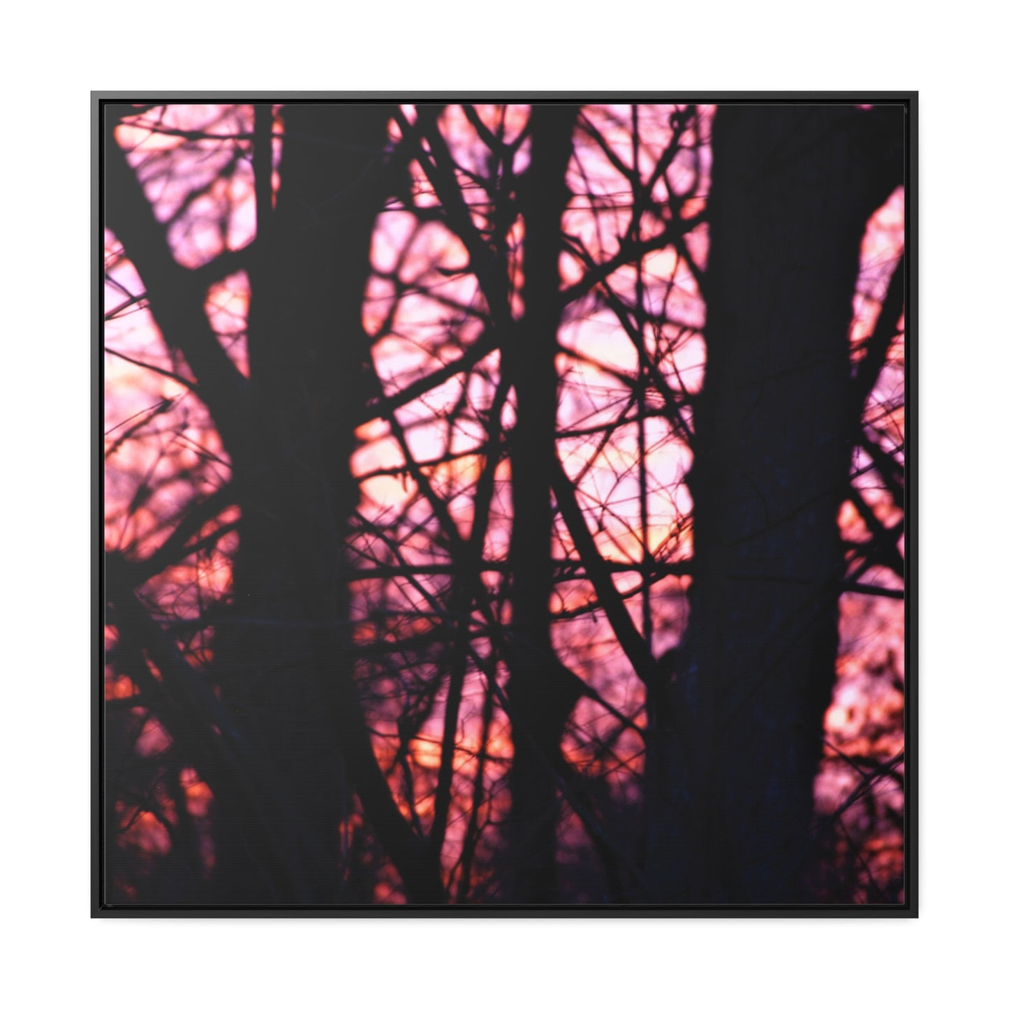 Dawn Gallery Canvas Wraps, Square Frame