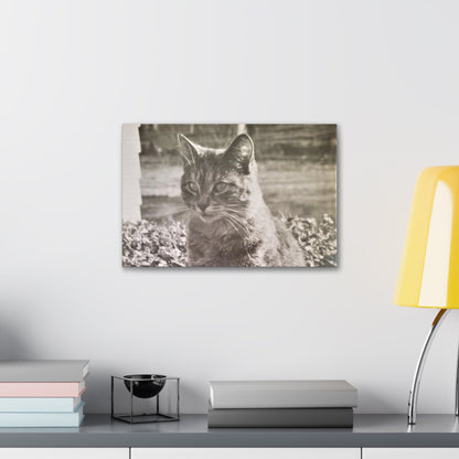 Caledonia Canvas Gallery Wraps 18″ x 12″ 1.25"