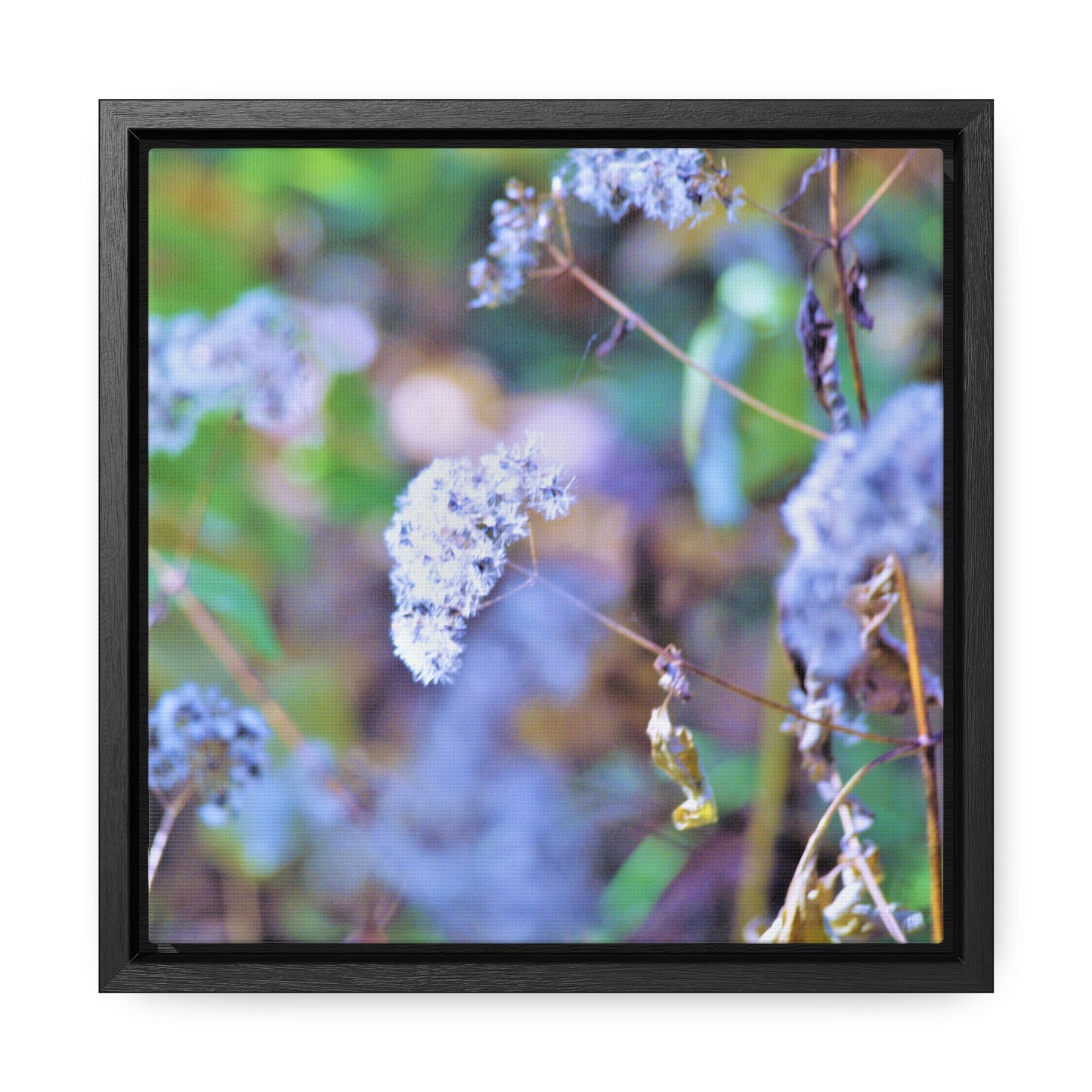 Macro Blue Gallery Canvas Wraps, Square Frame