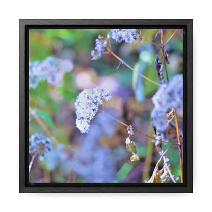 Macro Blue Gallery Canvas Wraps, Square Frame 10″ x 10″ Premium Gallery Wraps (1.25″)