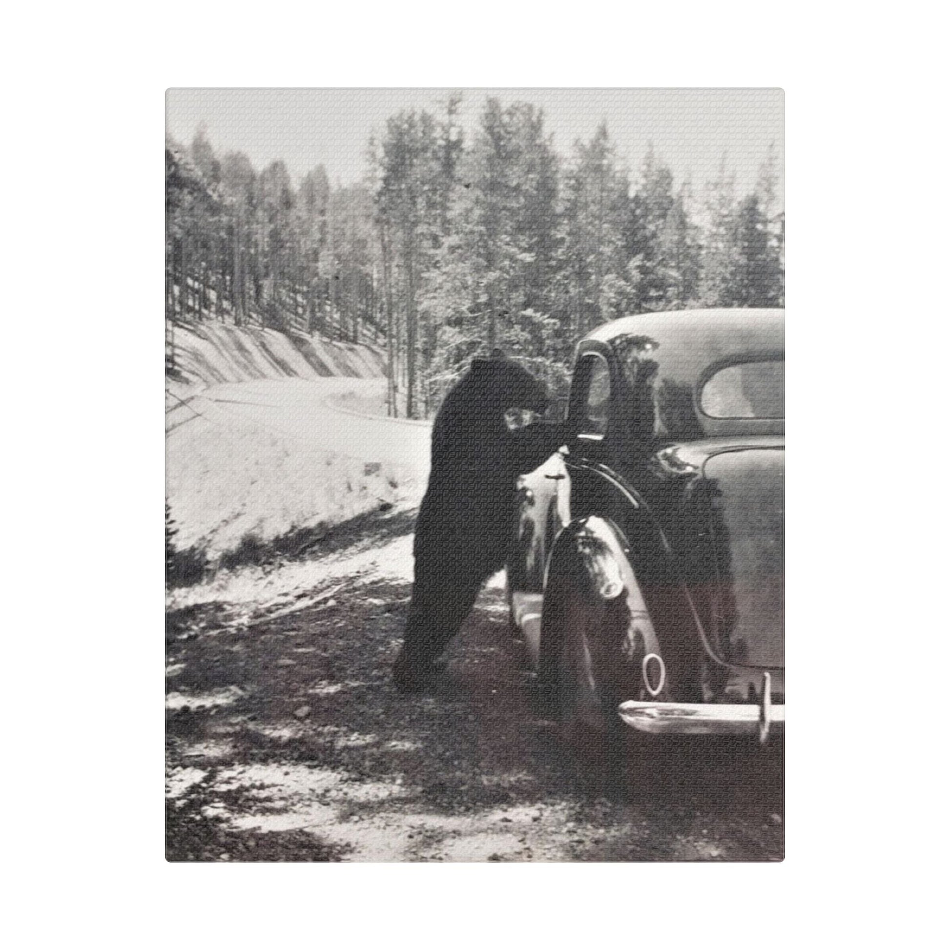 Yellowstone Bear Car Satin Canvas Stretched