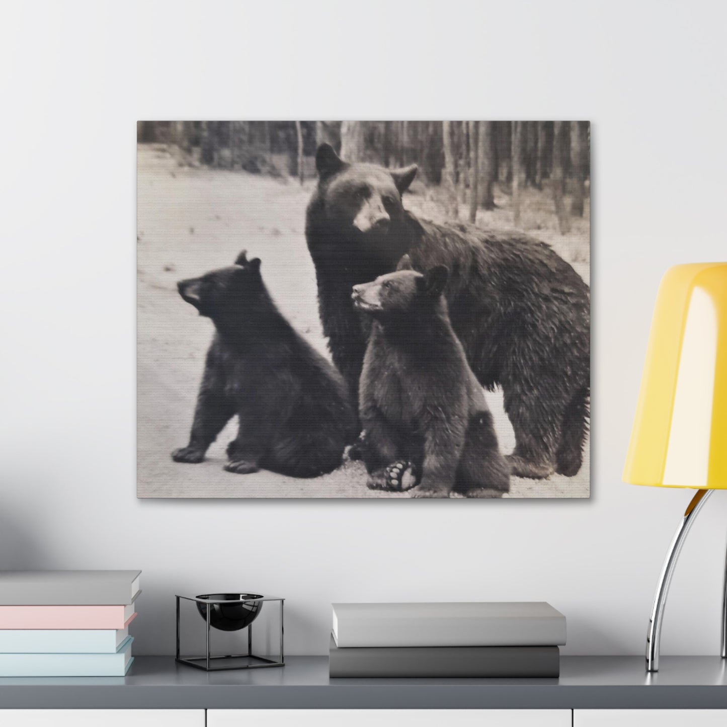 Yellowstone Black Bears Canvas Gallery Wraps