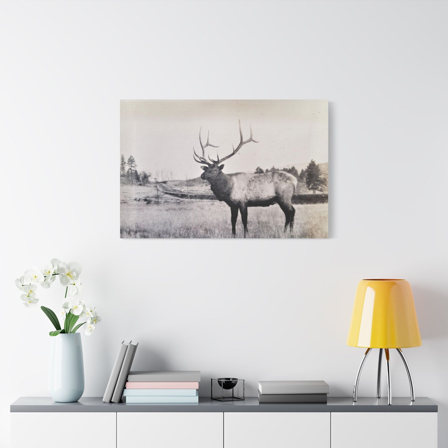 Yellowstone Bull Elk Satin Canvas, Stretched