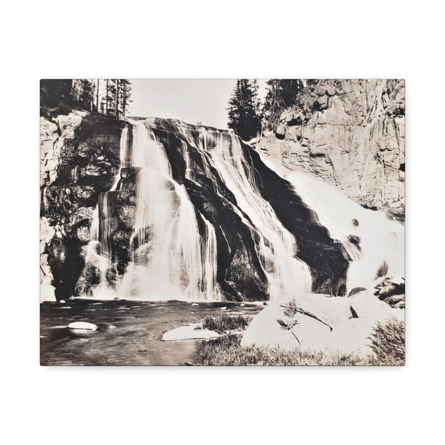 Gibbon Falls Yellowstone Stretched Canvas