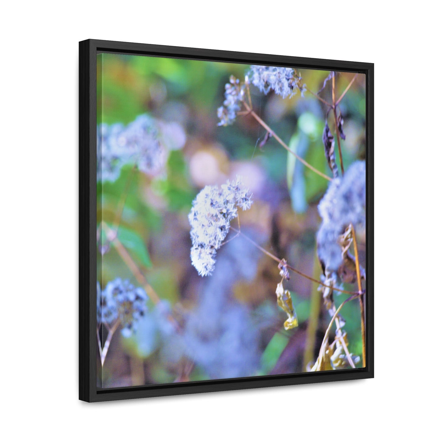 Macro Blue Gallery Canvas Wraps, Square Frame