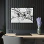 Black & White Buzzards Silhouette Acrylic Print — Modern Minimalist Wall Art - 30″ x 20″ (Horizontal) 0.25'' - Home Decor