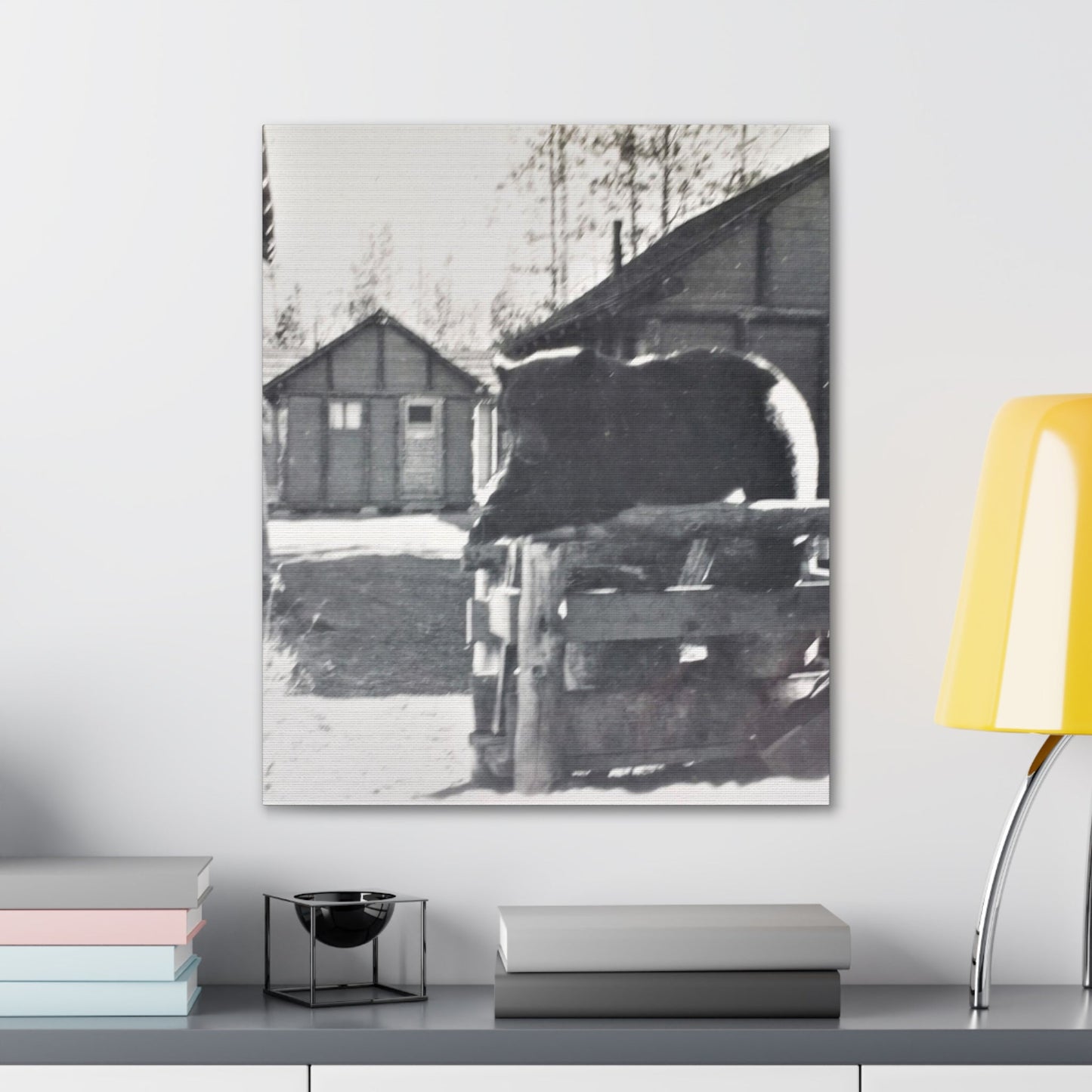 Yellowstone Bear Canvas Gallery Wraps 20″ x 24″ 1.25"